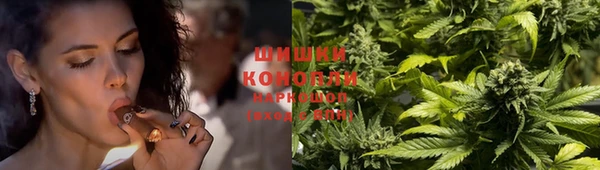 молекула духа Нязепетровск