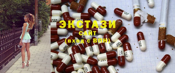 хмурый Няндома